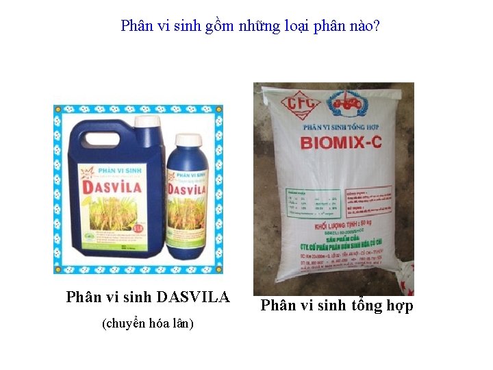 Phân vi sinh gồm những loại phân nào? Phân vi sinh DASVILA (chuyển hóa