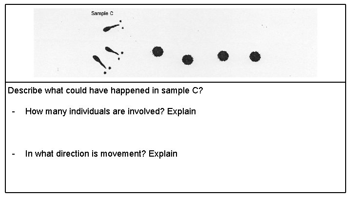 Describe what could have happened in sample C? - How many individuals are involved?