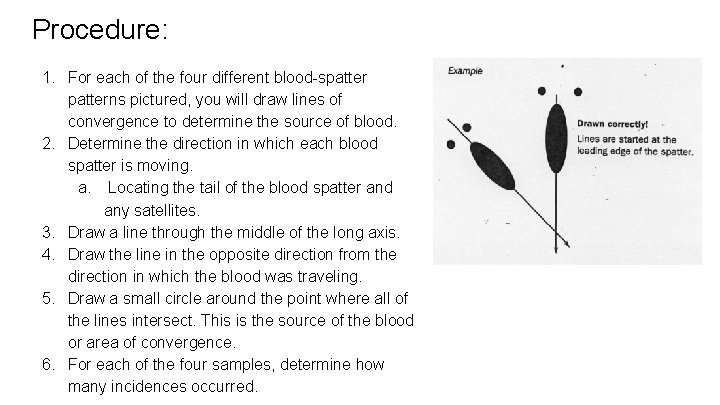 Procedure: 1. For each of the four different blood-spatterns pictured, you will draw lines