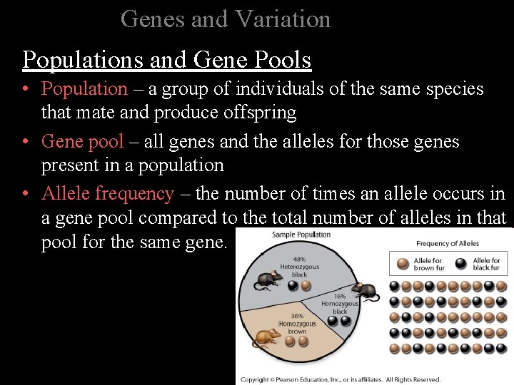 Genes and Variation Populations and Gene Pools • Population – a group of individuals