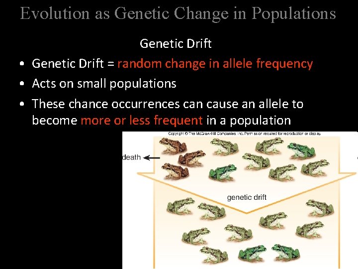 Evolution as Genetic Change in Populations Genetic Drift • Genetic Drift = random change