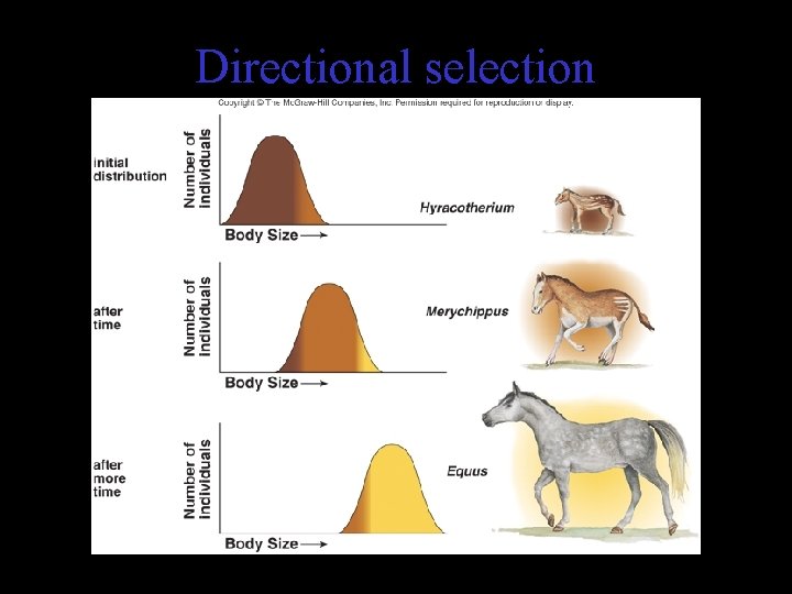 Directional selection 