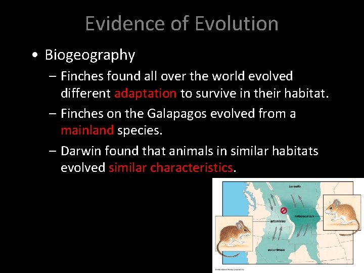 Evidence of Evolution • Biogeography – Finches found all over the world evolved different