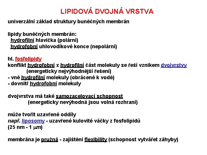 LIPIDOVÁ DVOJNÁ VRSTVA univerzální základ struktury buněčných membrán lipidy buněčných membrán: hydrofilní hlavička (polární)
