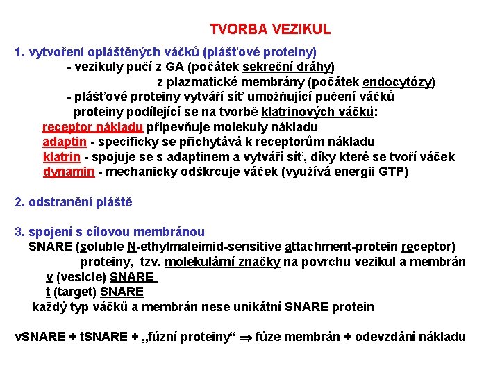 TVORBA VEZIKUL 1. vytvoření opláštěných váčků (plášťové proteiny) - vezikuly pučí z GA (počátek