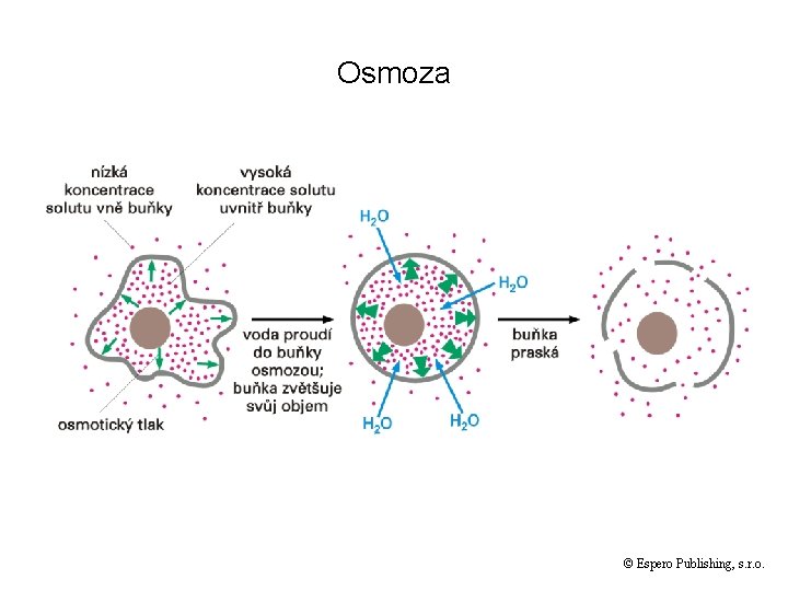 Osmoza © Espero Publishing, s. r. o. 