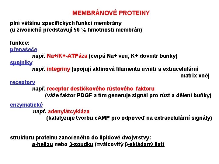 MEMBRÁNOVÉ PROTEINY plní většinu specifických funkcí membrány (u živočichů představují 50 % hmotnosti membrán)