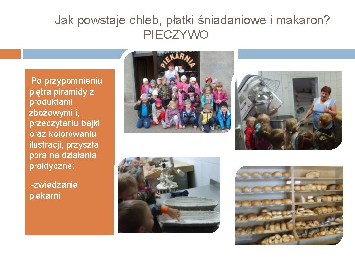 Jak powstaje chleb, płatki śniadaniowe i makaron? PIECZYWO • Po przypomnieniu piętra piramidy z