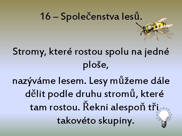 16 – Společenstva lesů. Stromy, které rostou spolu na jedné ploše, nazýváme lesem. Lesy