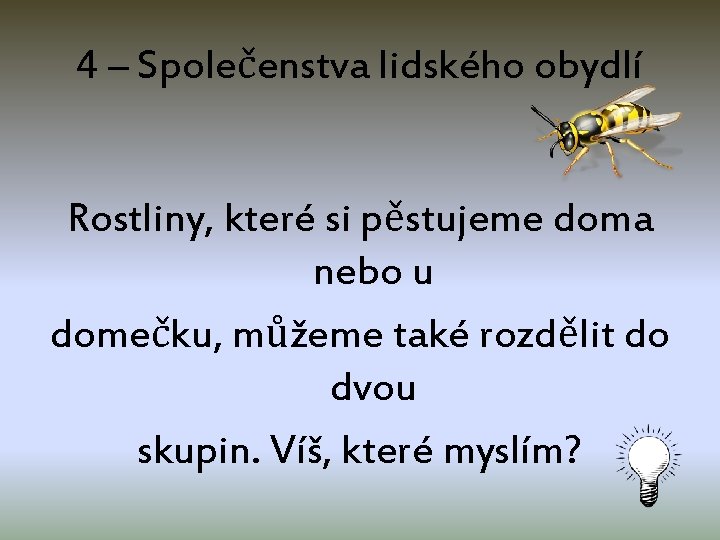 4 – Společenstva lidského obydlí Rostliny, které si pěstujeme doma nebo u domečku, můžeme