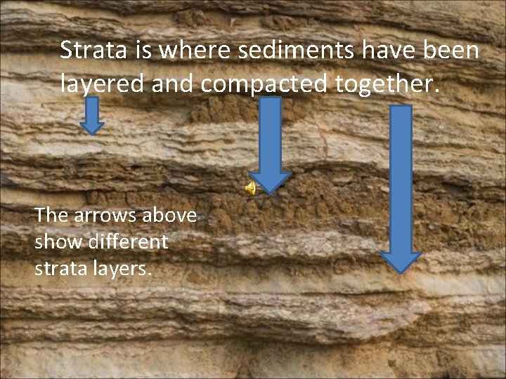 Strata is where sediments have been layered and compacted together. The arrows above show