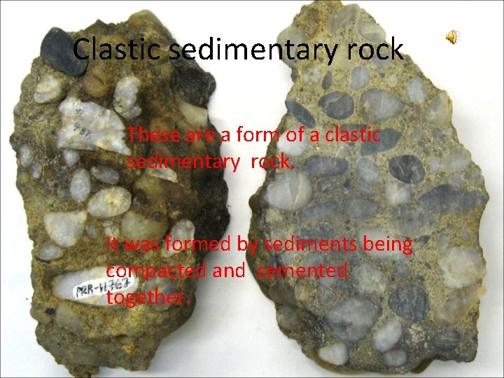 Clastic sedimentary rock These are a form of a clastic sedimentary rock. It was