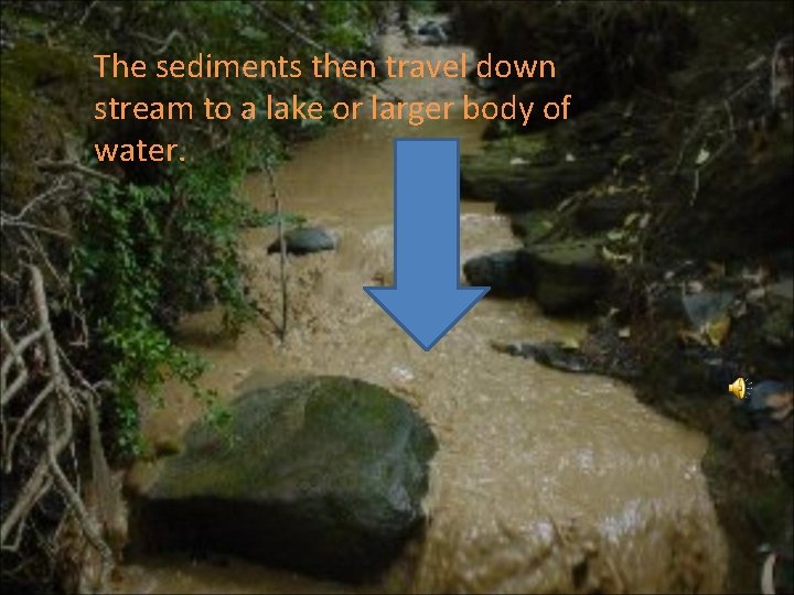 The sediments then travel down stream to a lake or larger body of water.