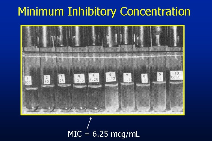 Minimum Inhibitory Concentration MIC = 6. 25 mcg/m. L 