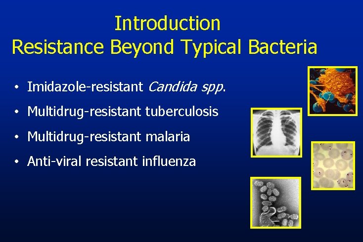 Introduction Resistance Beyond Typical Bacteria • Imidazole-resistant Candida spp. • Multidrug-resistant tuberculosis • Multidrug-resistant