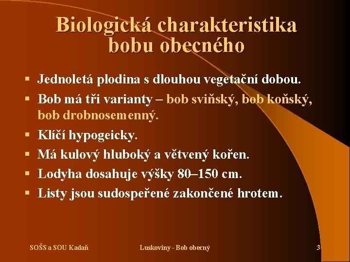 Biologická charakteristika bobu obecného § Jednoletá plodina s dlouhou vegetační dobou. § Bob má