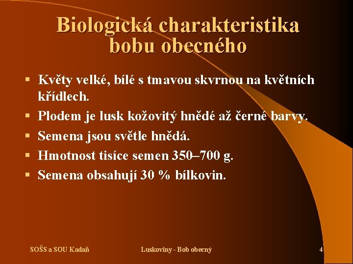Biologická charakteristika bobu obecného § Květy velké, bílé s tmavou skvrnou na květních křídlech.