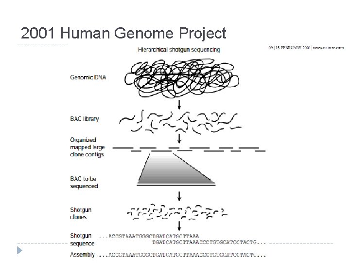 2001 Human Genome Project 