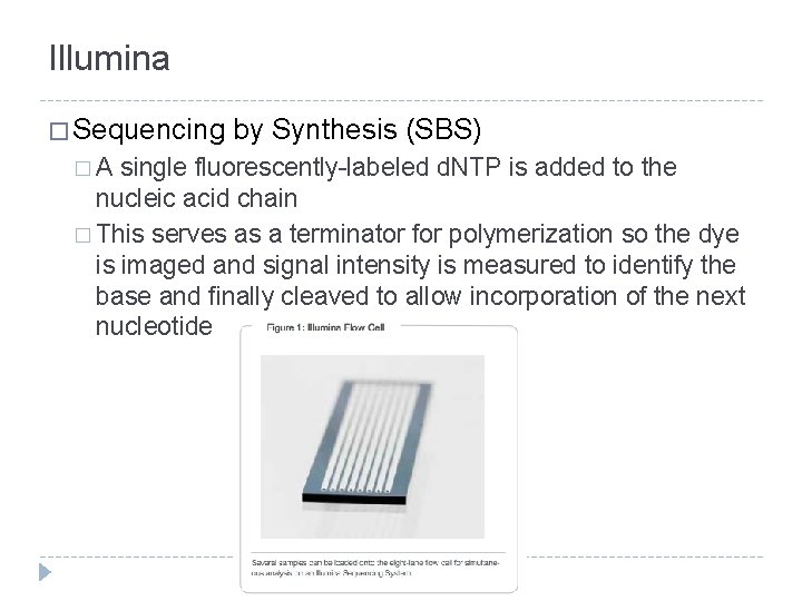 Illumina � Sequencing �A by Synthesis (SBS) single fluorescently-labeled d. NTP is added to