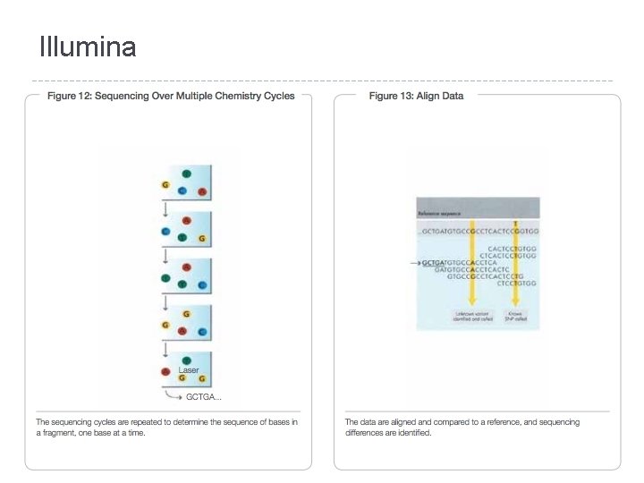 Illumina 