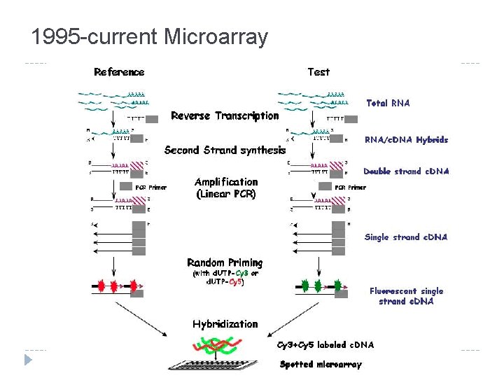 1995 -current Microarray 