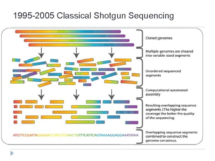 1995 -2005 Classical Shotgun Sequencing 