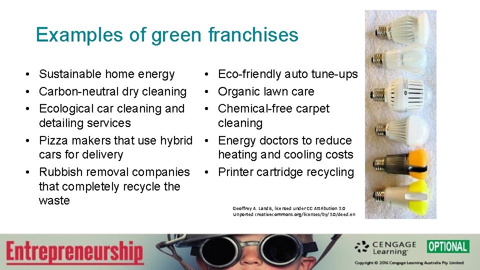 Examples of green franchises • Sustainable home energy • Carbon-neutral dry cleaning • Ecological