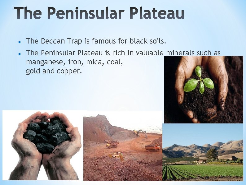  The Deccan Trap is famous for black soils. The Peninsular Plateau is rich