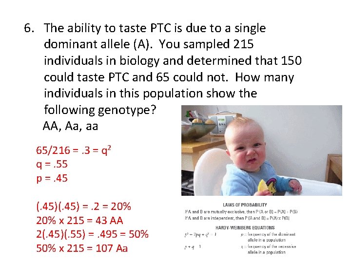 6. The ability to taste PTC is due to a single dominant allele (A).