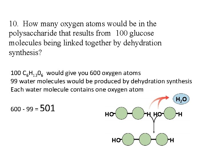  10. How many oxygen atoms would be in the polysaccharide that results from