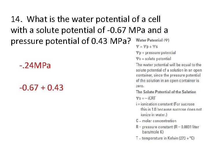 14. What is the water potential of a cell with a solute potential of