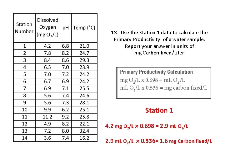 18. Use the Station 1 data to calculate the Primary Productivity of a water