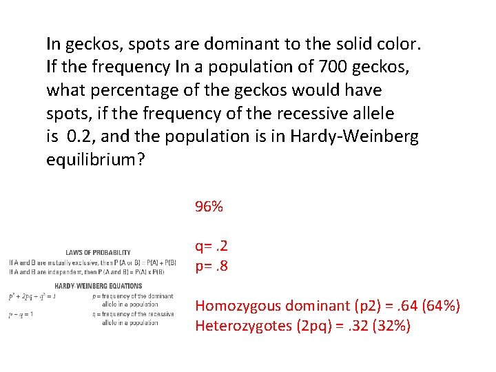 In geckos, spots are dominant to the solid color. If the frequency In a