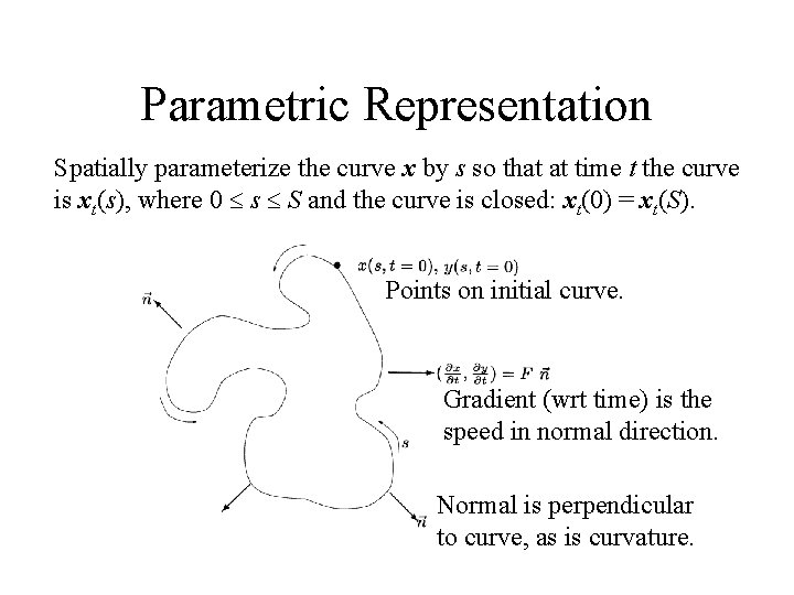 Parametric Representation Spatially parameterize the curve x by s so that at time t