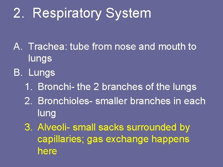 2. Respiratory System A. Trachea: tube from nose and mouth to lungs B. Lungs