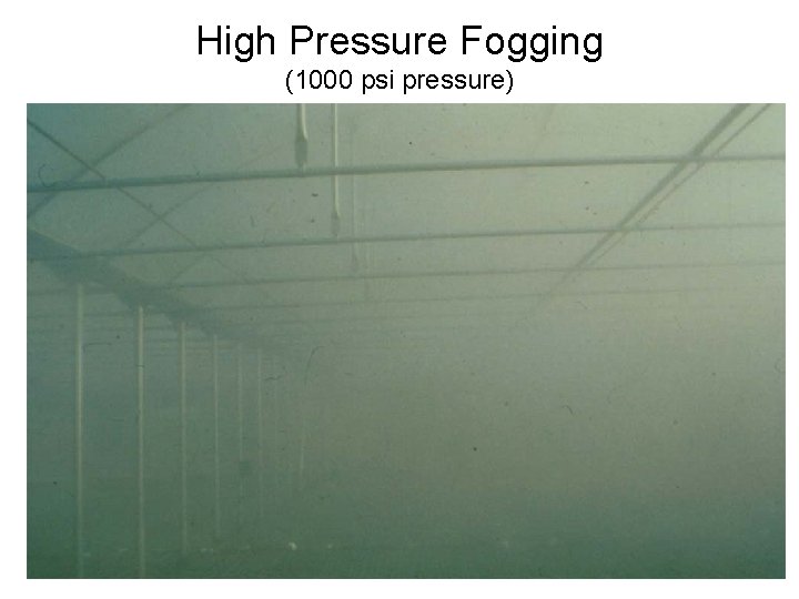 High Pressure Fogging (1000 psi pressure) 