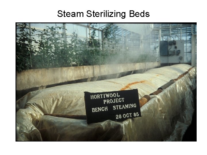 Steam Sterilizing Beds 