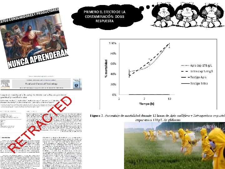 PRIMERO EL EFECTO DE LA CONTAMINACIÓN- DOSIS RESPUESTA 