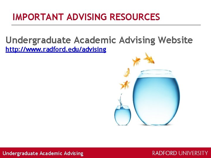 IMPORTANT ADVISING RESOURCES Undergraduate Academic Advising Website http: //www. radford. edu/advising Undergraduate Academic Advising