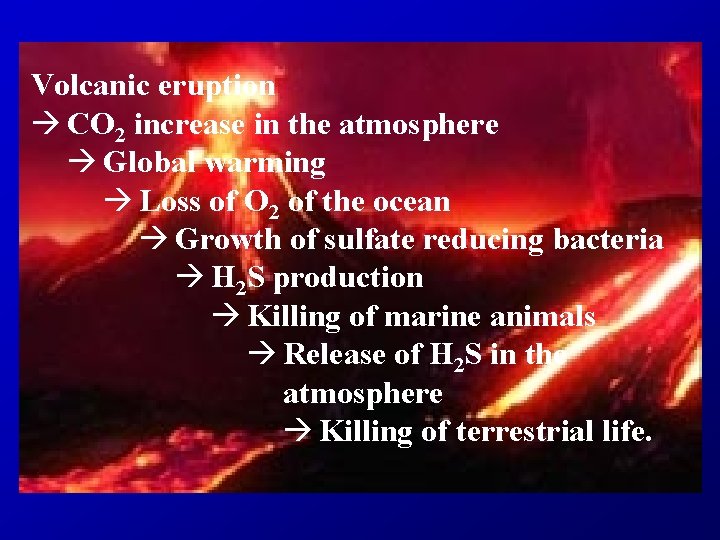 Volcanic eruption à CO 2 increase in the atmosphere à Global warming à Loss