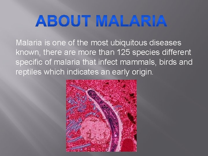 Malaria is one of the most ubiquitous diseases known, there are more than 125