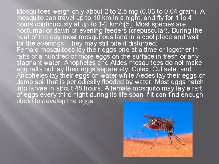 Mosquitoes weigh only about 2 to 2. 5 mg (0. 03 to 0. 04