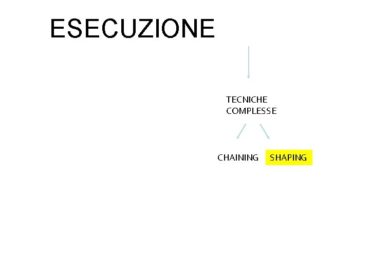 ESECUZIONE TECNICHE COMPLESSE CHAINING SHAPING 