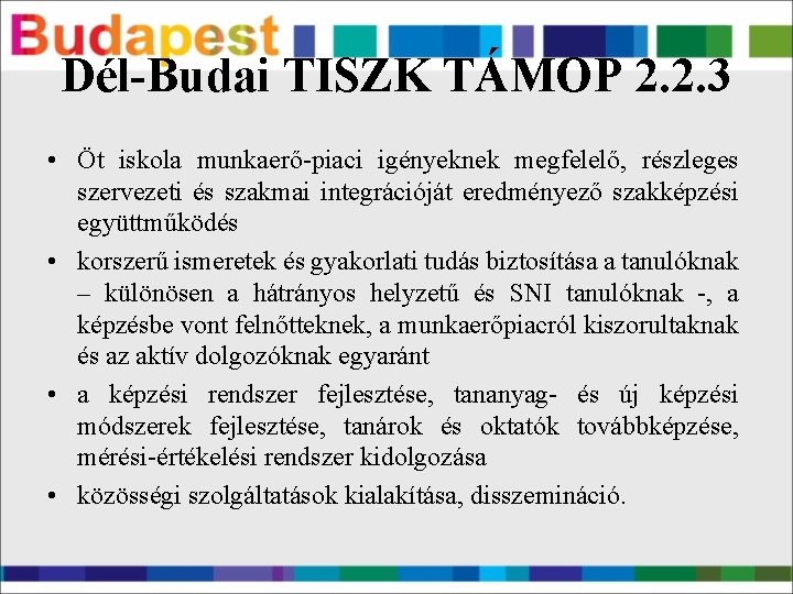 Dél-Budai TISZK TÁMOP 2. 2. 3 • Öt iskola munkaerő-piaci igényeknek megfelelő, részleges szervezeti