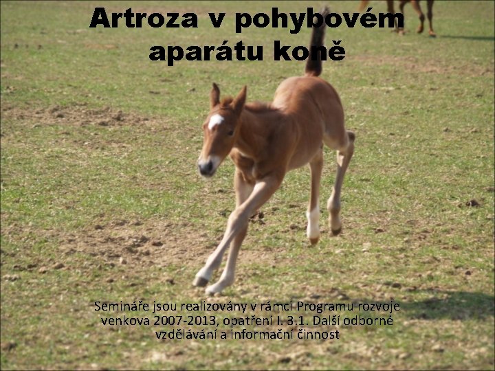artróza u koní léčba)