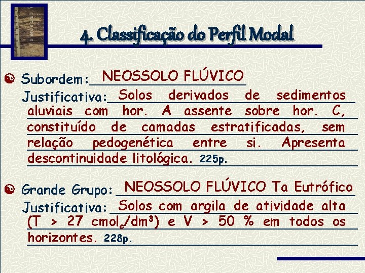 4. Classificação do Perfil Modal NEOSSOLO FLÚVICO Subordem: __________ Solos derivados de sedimentos Justificativa: