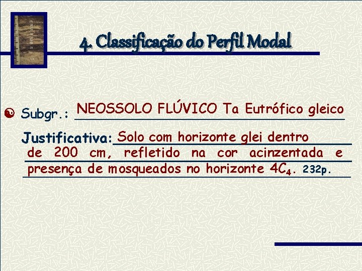 4. Classificação do Perfil Modal NEOSSOLO FLÚVICO Ta Eutrófico gleico Subgr. : _________________ Solo