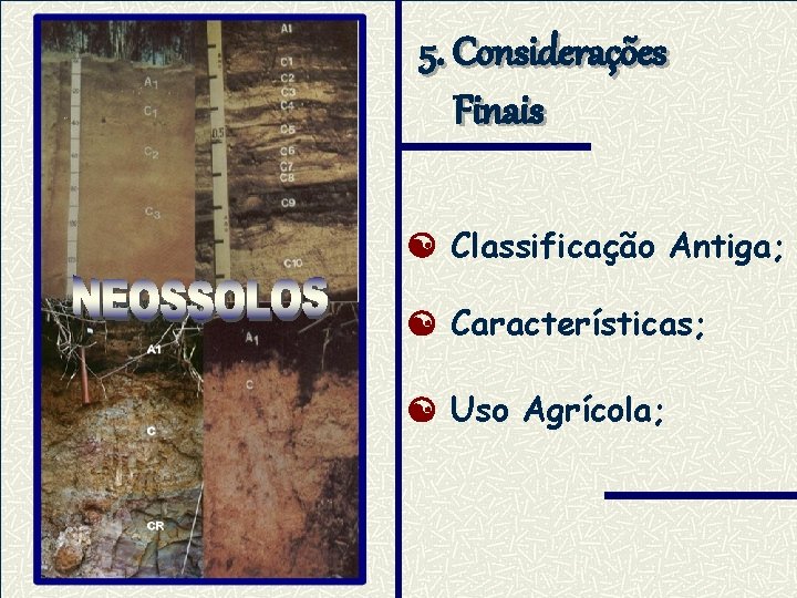 5. Considerações Finais Classificação Antiga; Características; Uso Agrícola; 