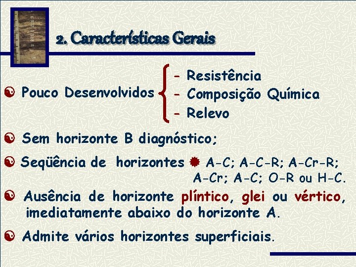 2. Características Gerais Pouco Desenvolvidos - Resistência - Composição Química - Relevo Sem horizonte