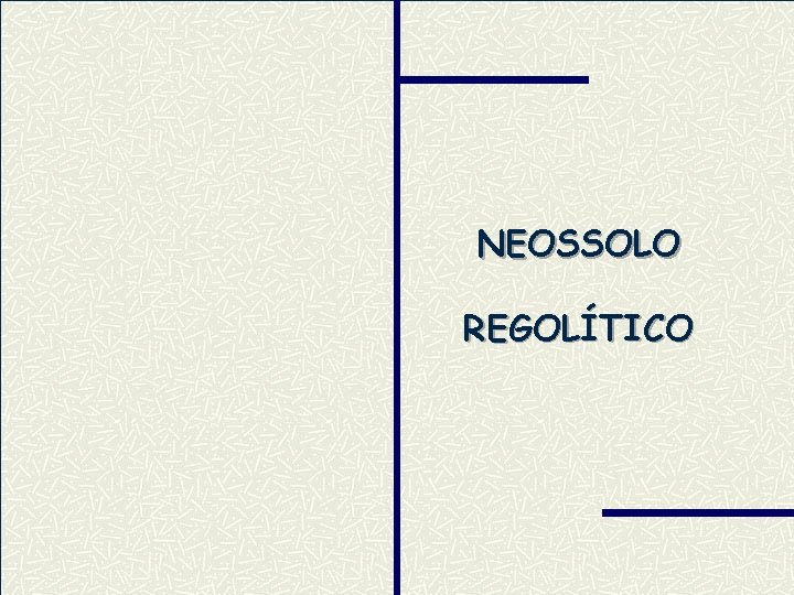 NEOSSOLO REGOLÍTICO 